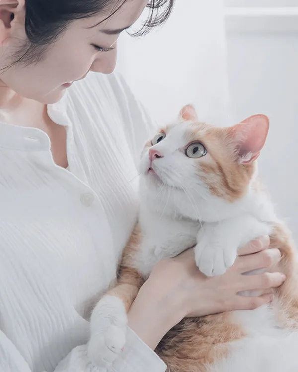 抱っこされた猫の写真